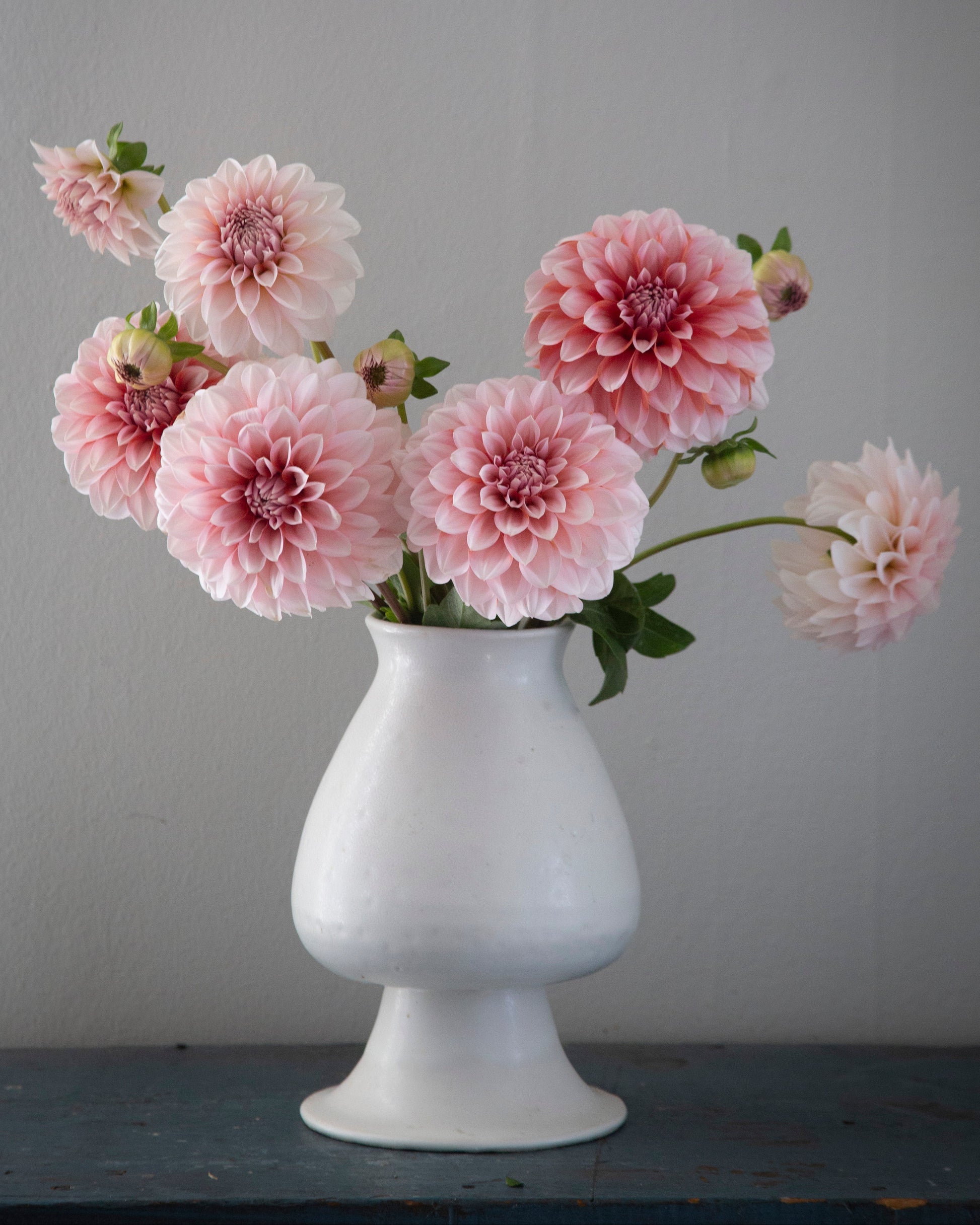 White vase with pink flowers against a gray background