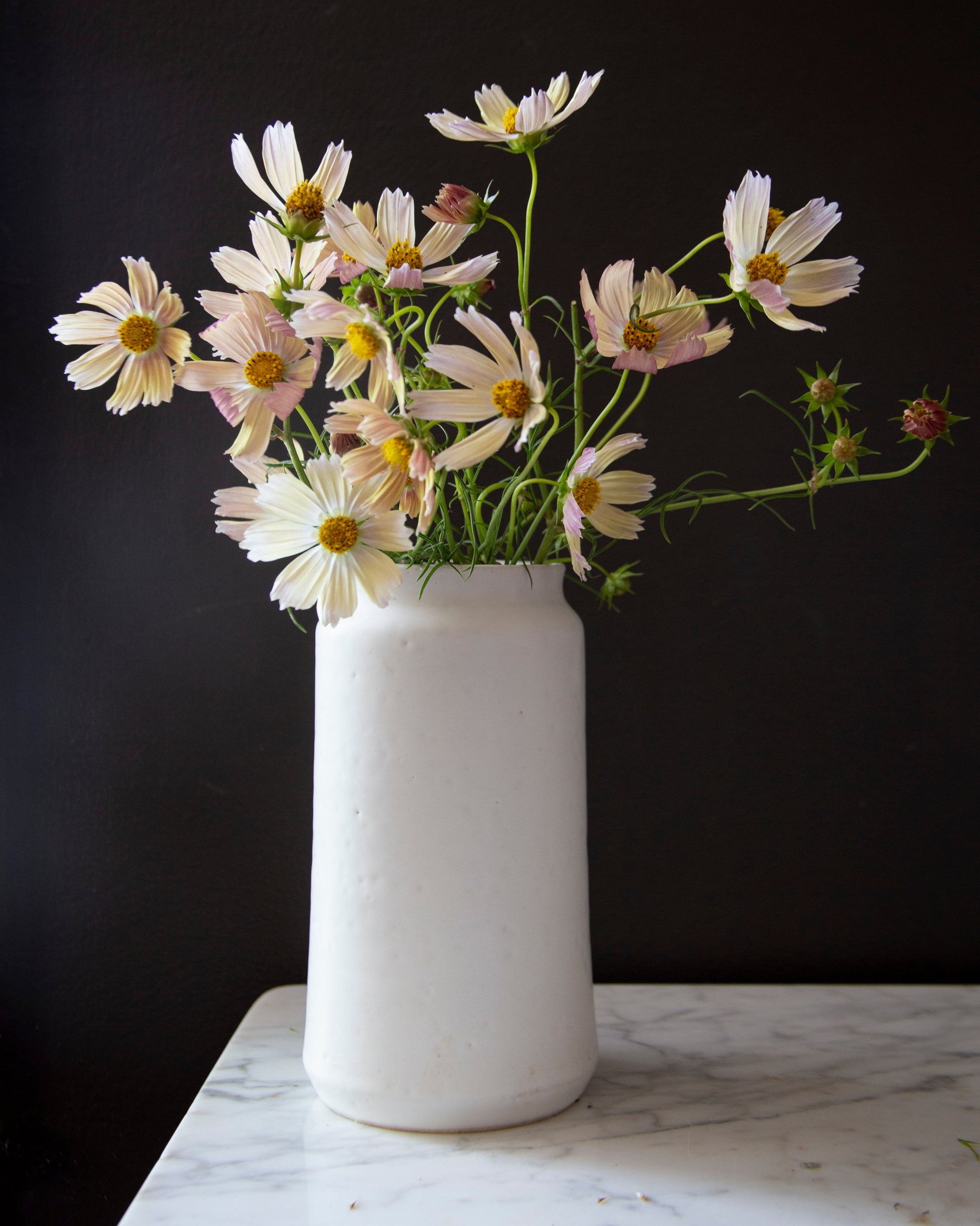 White vase with flowers on a marble surface against a dark background