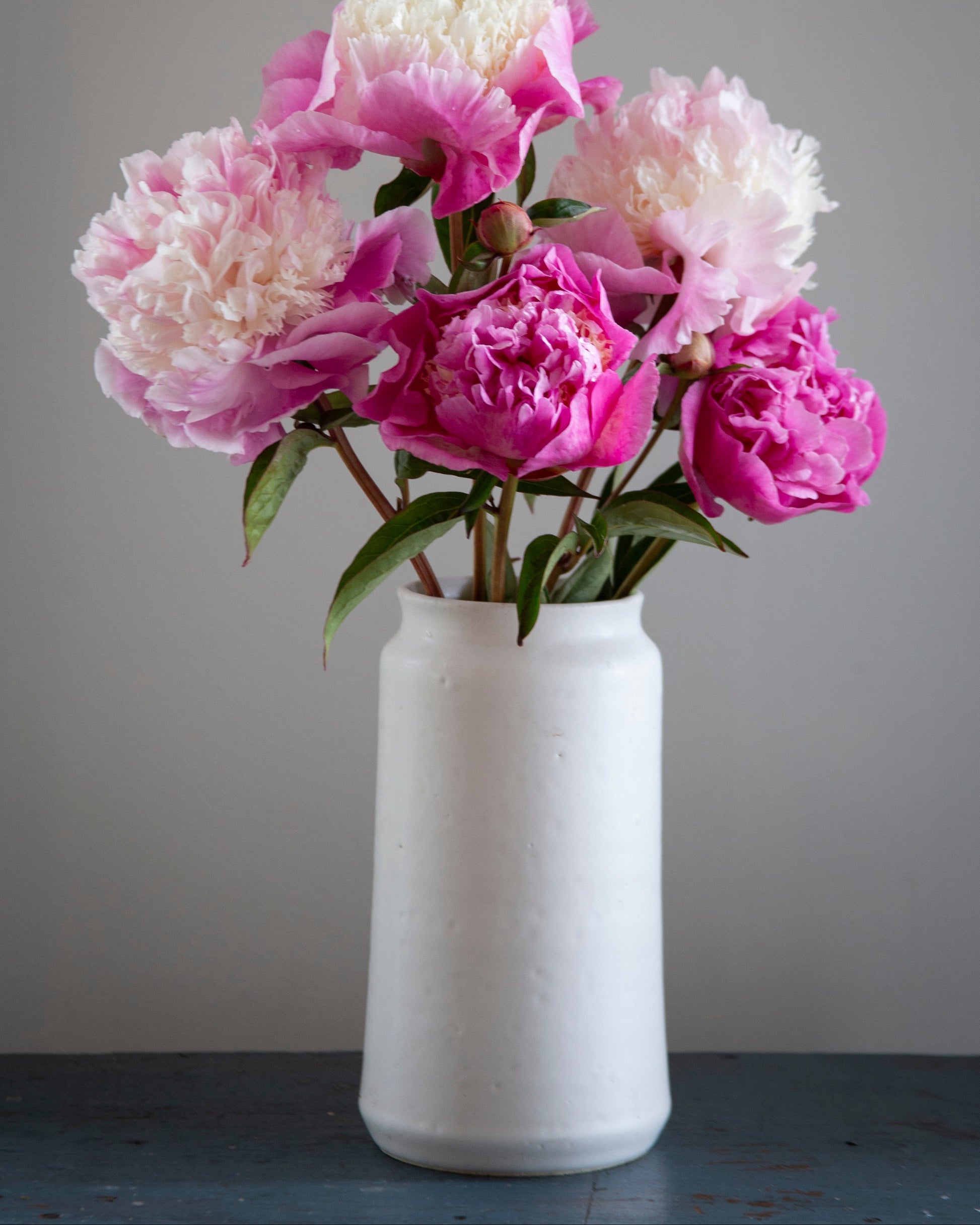 White vase with pink and white flowers on a gray background