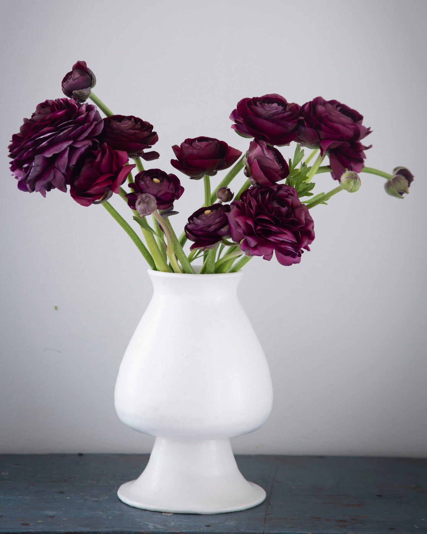 Ranunculus Viola