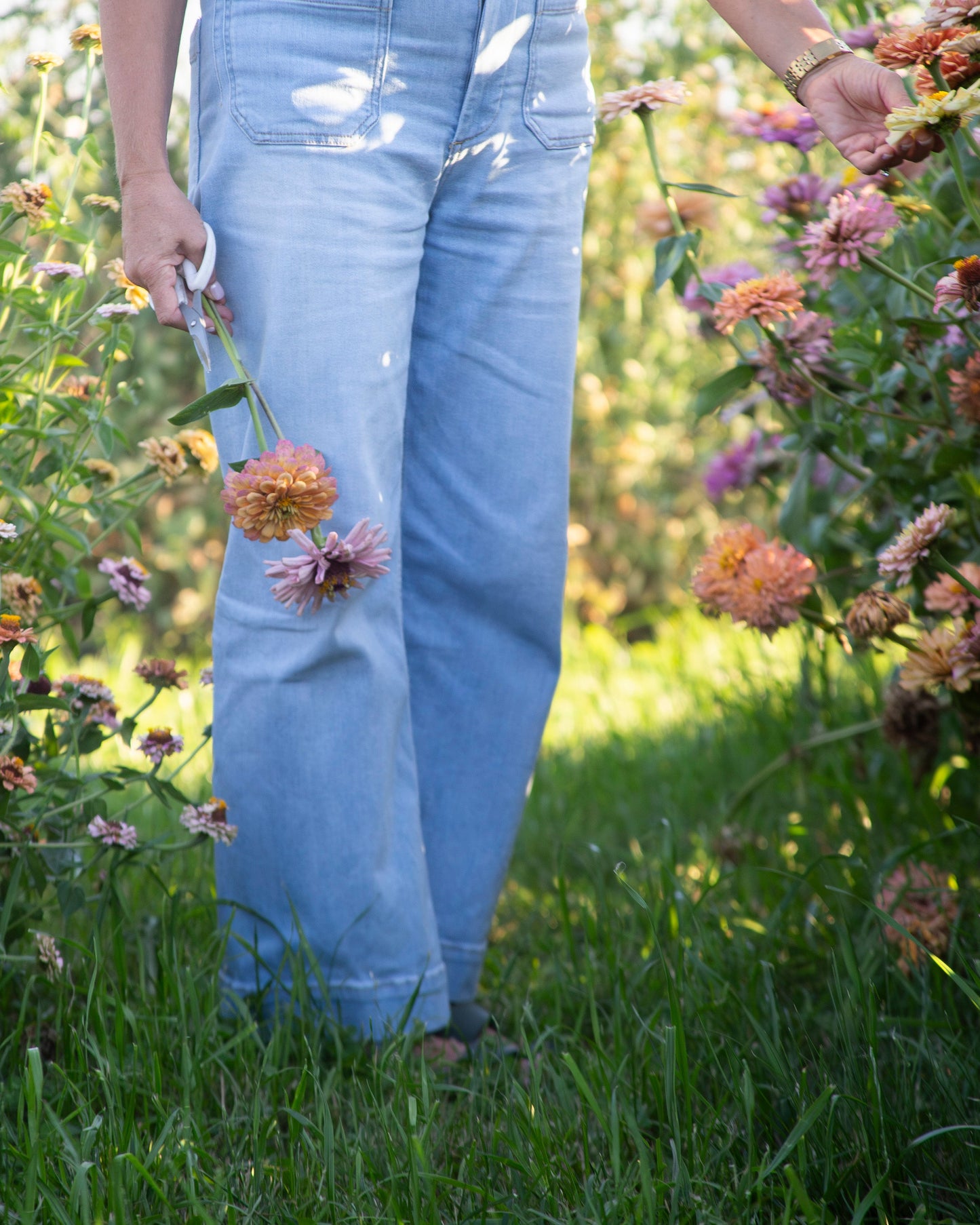 Person walking through a garden with flowers and plants