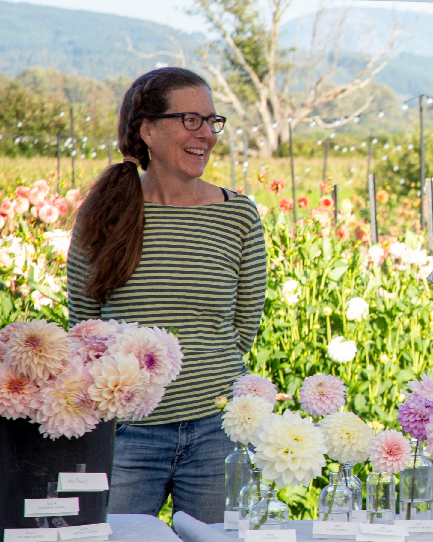 Dahlia Hybridizing Intensive: THURSDAY 1PM