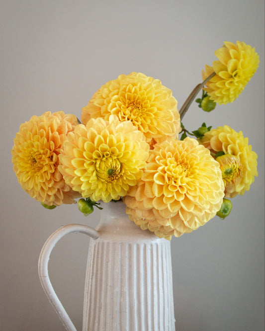 White pitcher filled with yellow flowers on a wooden surface