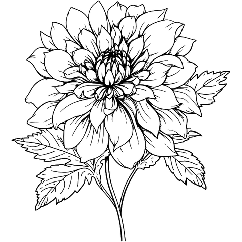 Dahlias icon