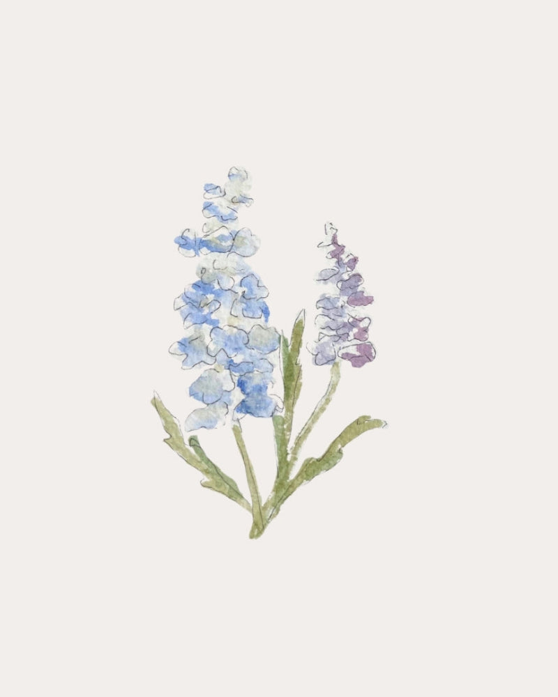 Delphinium Magic Fountains Mix