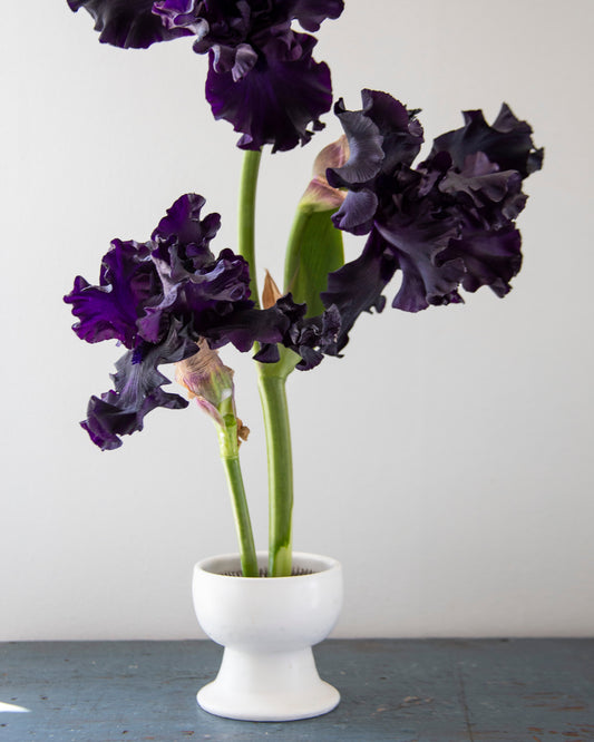 Dark purple flowers in a white vase on a gray surface with a light gray background