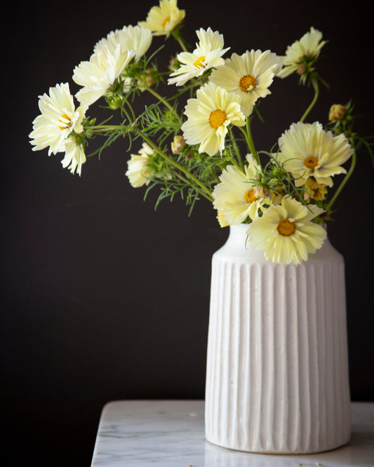 White vase with yellow flowers on a dark background