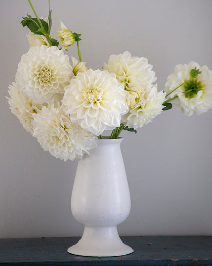 White flowers in a white vase on a gray surface with a gray background