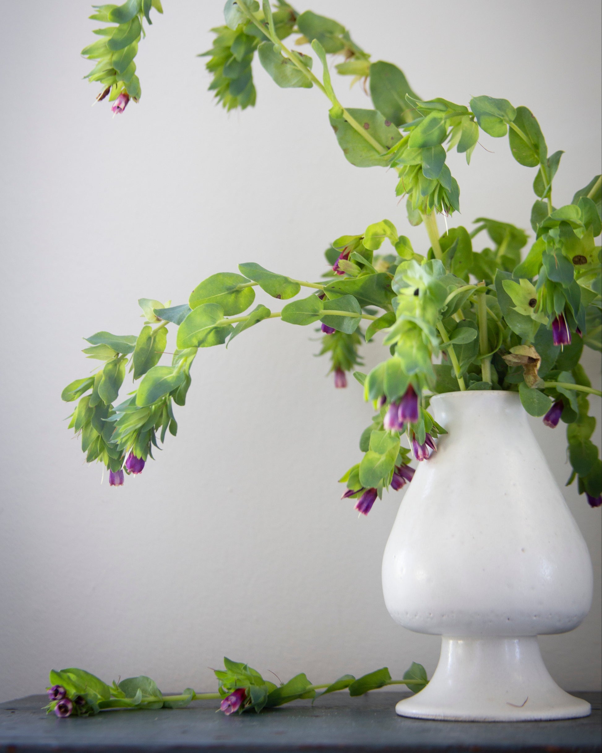 White vase with green plant on a gray surface against a light gray background