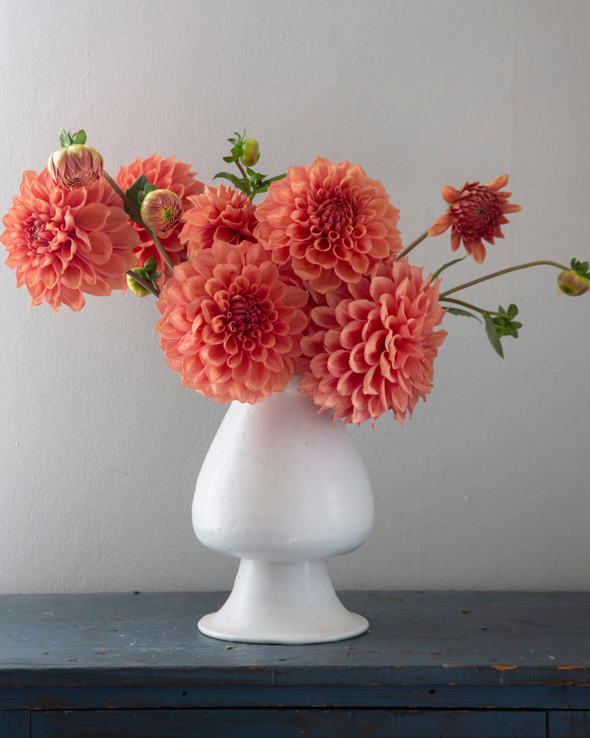 Bouquet of pink dahlias in a white vase on a gray surface with a light gray background