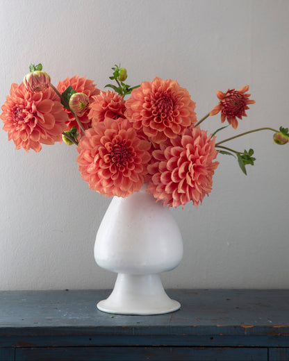 Bouquet of pink dahlias in a white vase on a gray surface with a light gray background