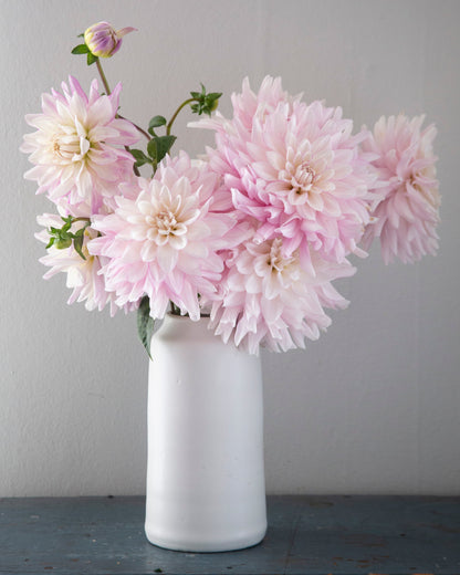 Pink flowers in a white vase against a gray background